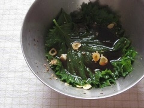 ＊大葉（しそ）のにんにく醤油漬け～ピリ辛ごま油～＊